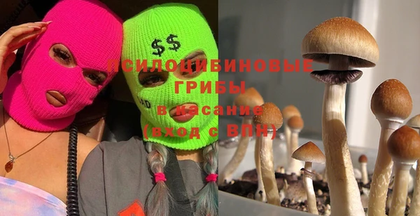кокаин перу Горнозаводск