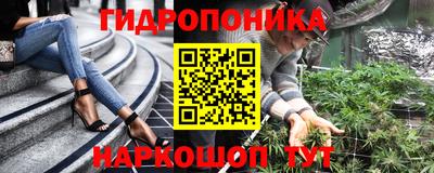 гидра Свободный