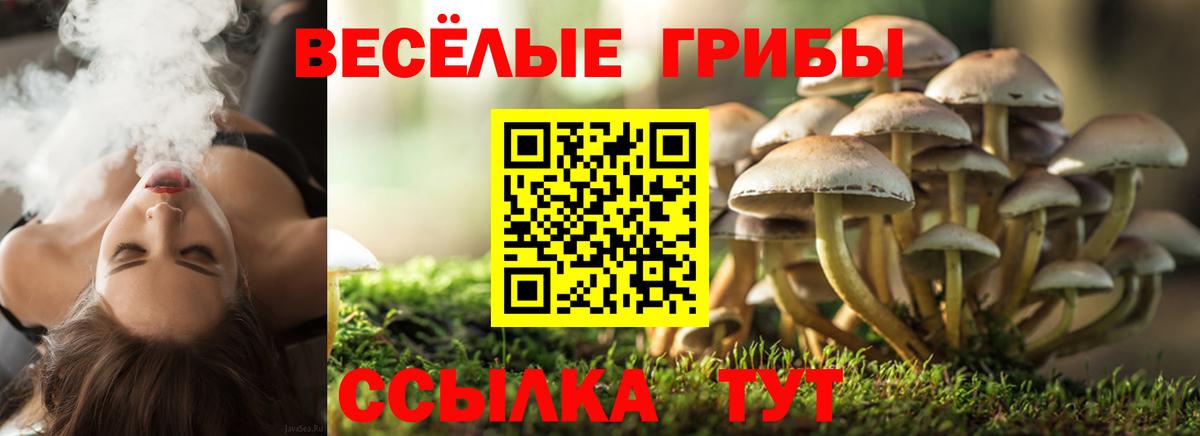 наркотики  Вход с VPN  Санкт-Петербург  Галлюциногенные грибы MAGIC MUSHROOMS 